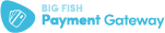 BigFish Payment Gateway